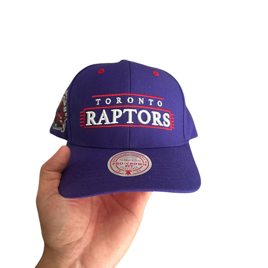 Toronto Raptors Snapback NWT Mitchell Ness