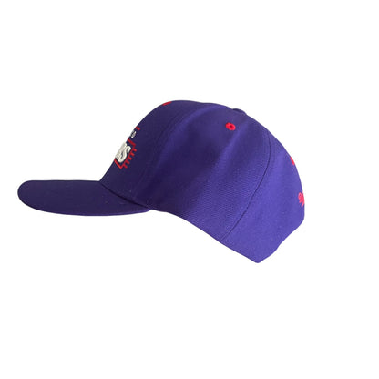 Toronto Raptors Snapback NWT Mitchell Ness